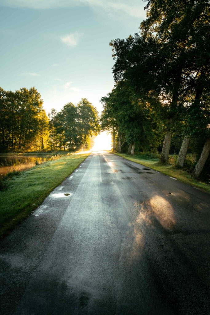 En rak landsväg en tidig höstmorgon med soluppgång i horisonten, omgiven av fält och höstfärgade träd. Solens ljus bryter genom morgondimman och skapar en varm, rogivande atmosfär.