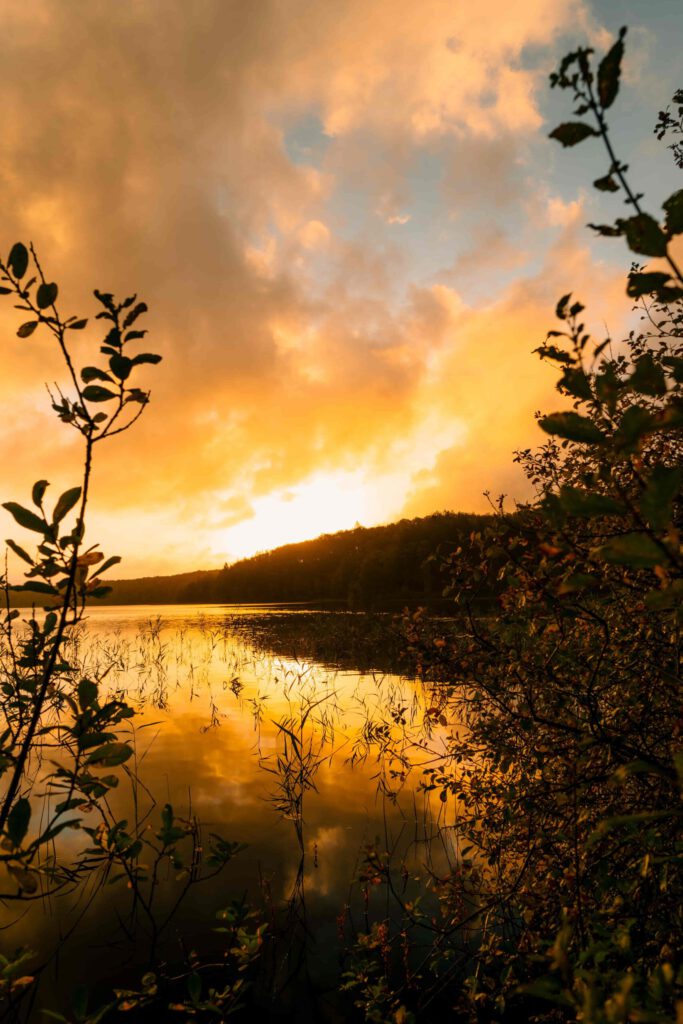 En lugn sjö med buskar i förgrunden och träd i bakgrunden. Himlen lyser dramatiskt med solens första strålar som lyser upp horisonten innan soluppgång.