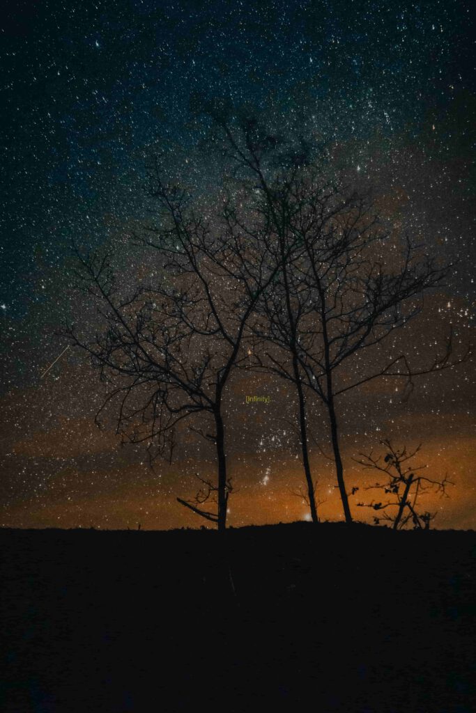 Siluett av ett träd mot en stjärnfylld nattlig himmel med texten "[Infinity...]".