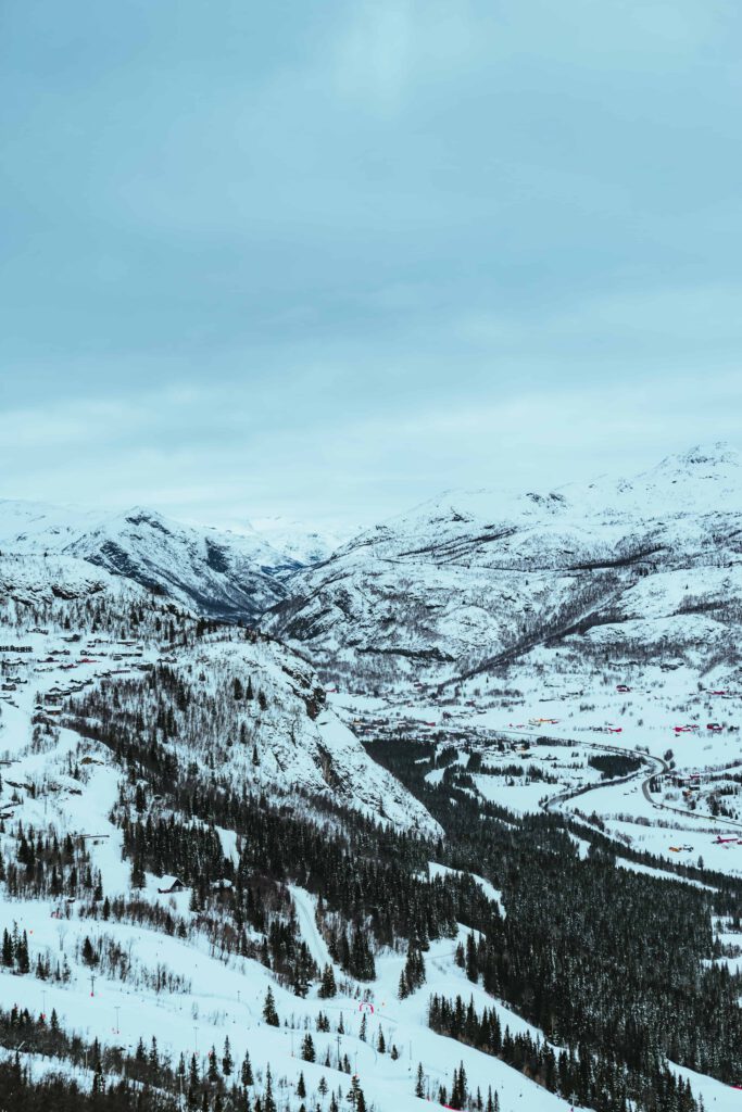 Ett vidsträckt vinterlandskap med snötäckta berg och en tät skog i förgrunden.