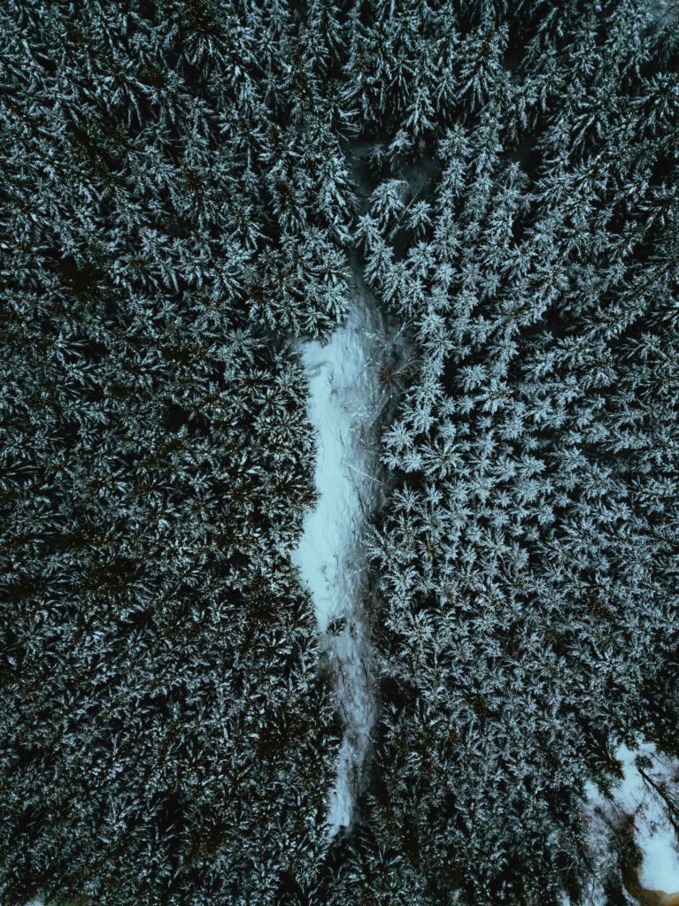 En fågelperspektiv över en snötäckt skog med en smal stig som slingrar sig genom träden.