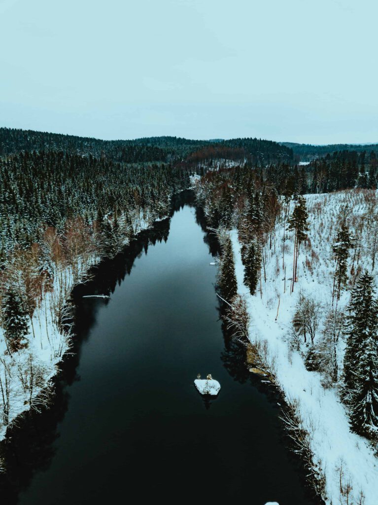 En slingrande flod flyter genom en snöig skog under en klarblå himmel.