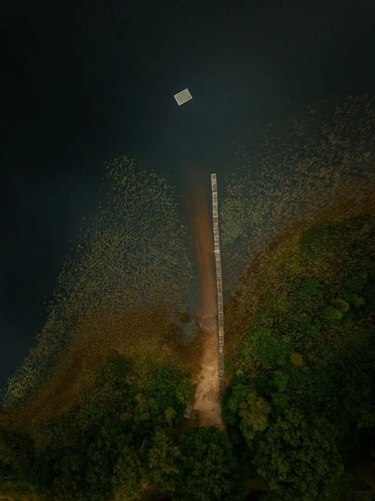 Alt-text: En ensam brygga sträcker sig från stranden ut i en mörk sjö, med en flytande badplattform längre ut i vattnet, omgiven av vass och grönska.