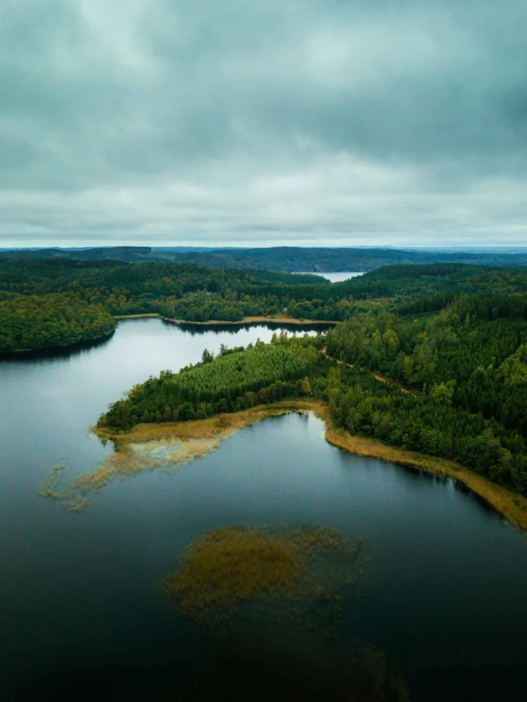 Drönarbild över en stilla sjö omgiven av skogsbeklädda kullar och vass, under en molnig hösthimmel som ger en dämpad stämning.