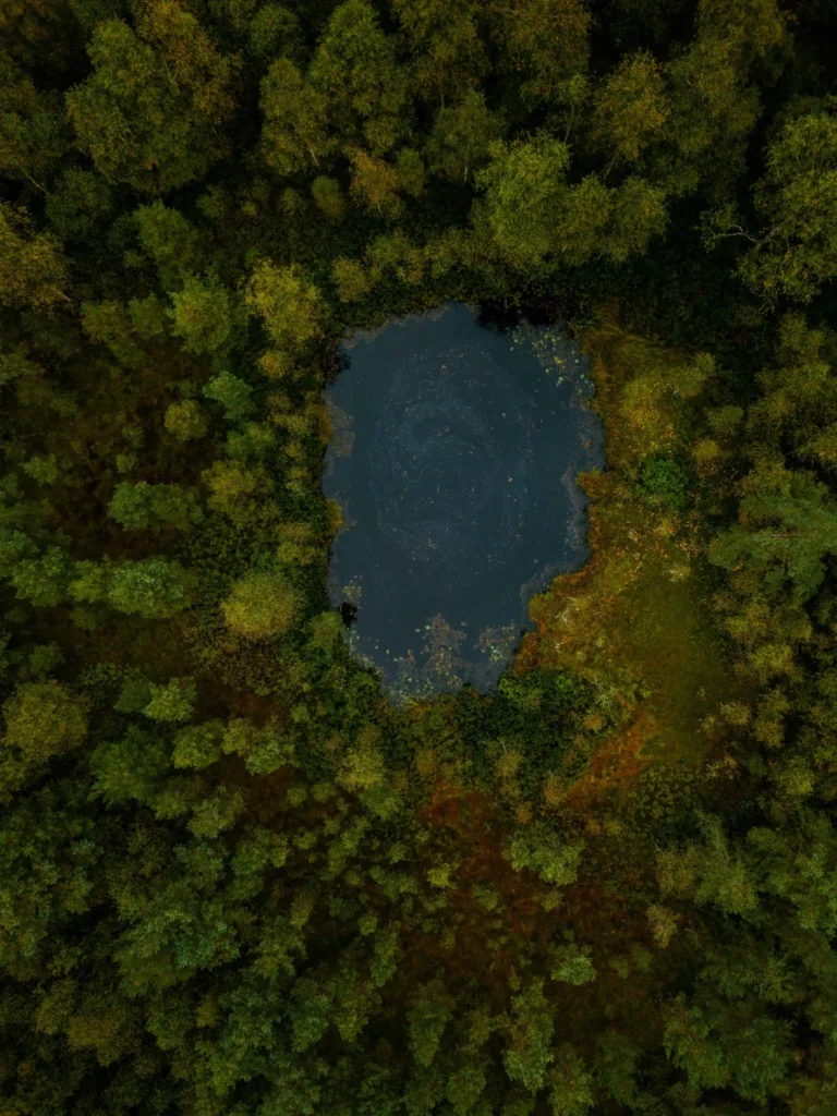 En rund tjärn omgiven av täta, mörkgröna träd sett från ovan, med lugnt, mörkt vatten som skapar en känsla av mystik och avskildhet.